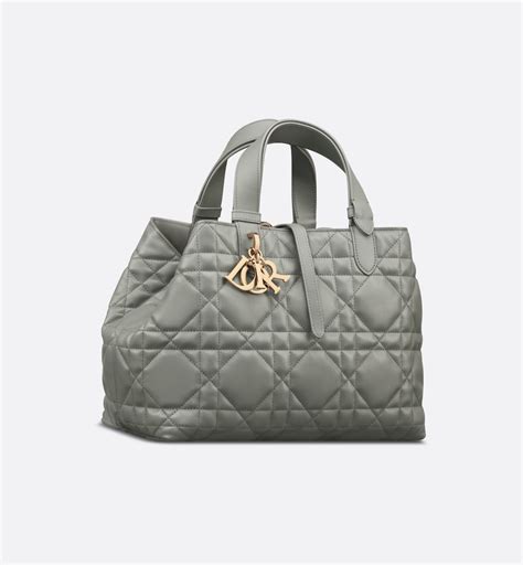 ontmaagd dior dier|Medium Dior Toujours Bag.